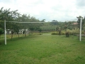 Zonas verdes