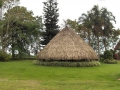 Zona verde