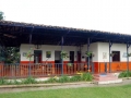 Finca La Camelia