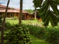 Zona Verde